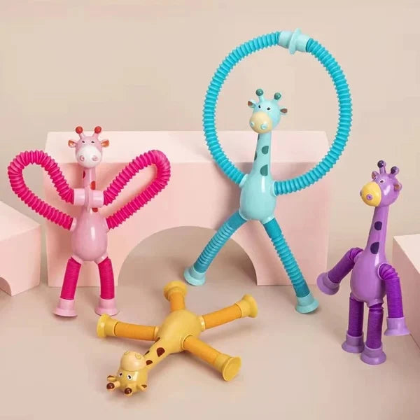 Variations Toy ( 6 Pieces )